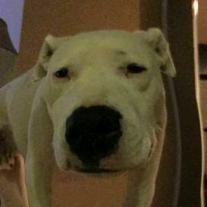 Meet your Posher, Ethan